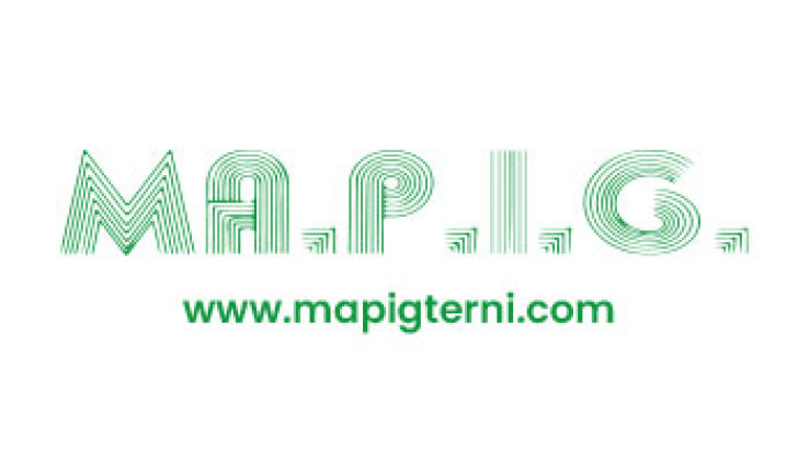 mapig